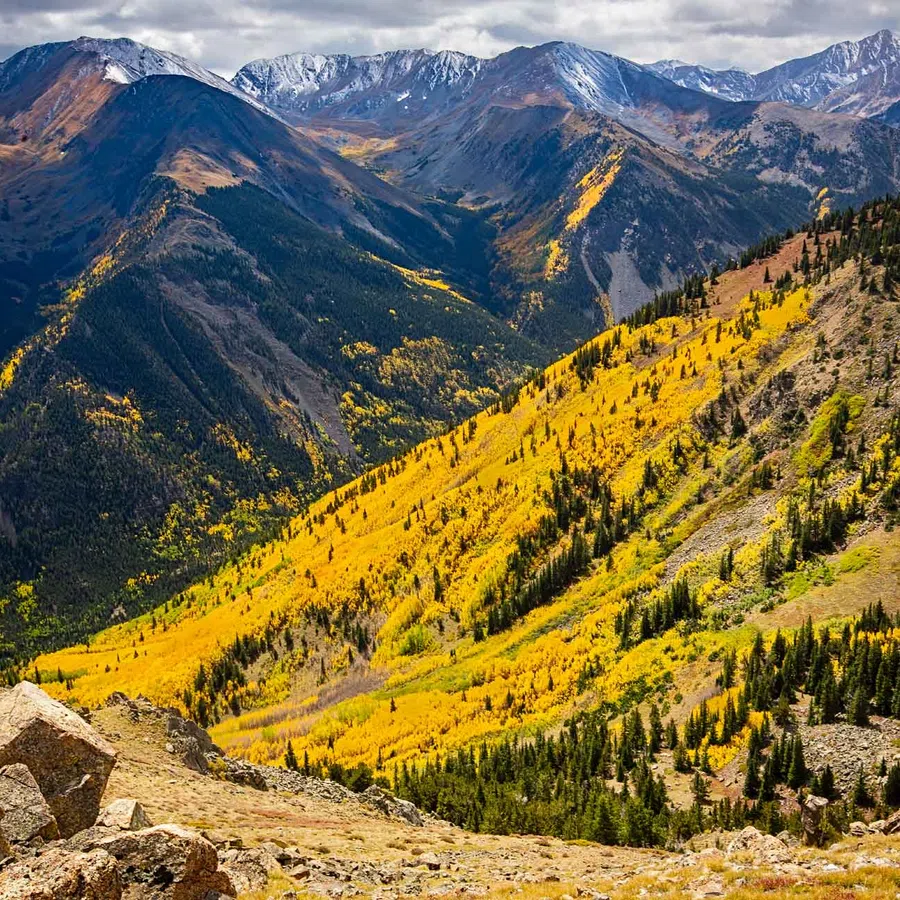 Mountain landscape with yellow autumn trees on slopes and snow-capped peaks under cloudy sky.