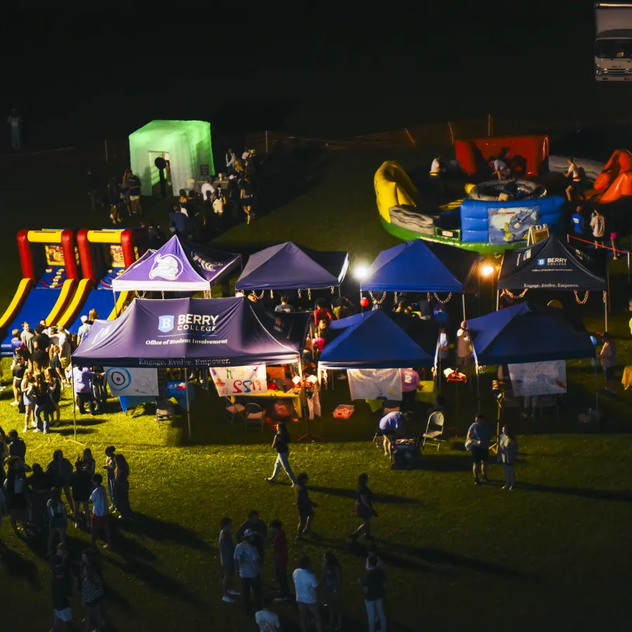 a crowd of people at a festival