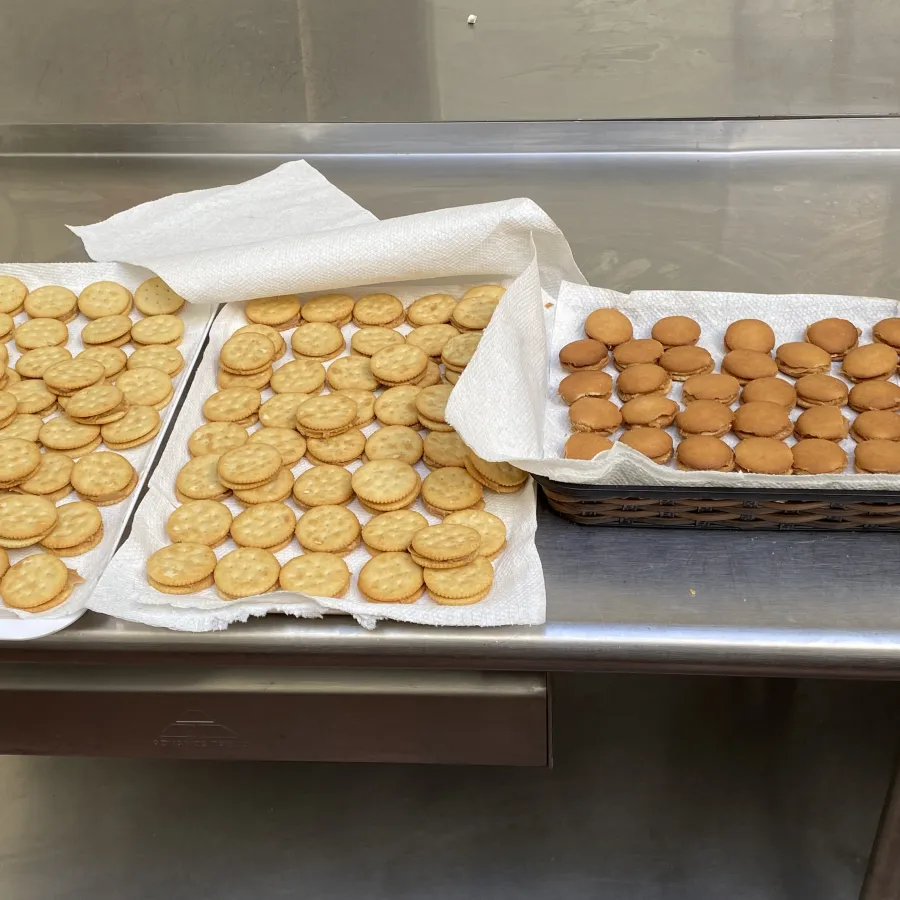 Three trays of round biscuits on paper towels drying on a stainless steel kitchen counter.