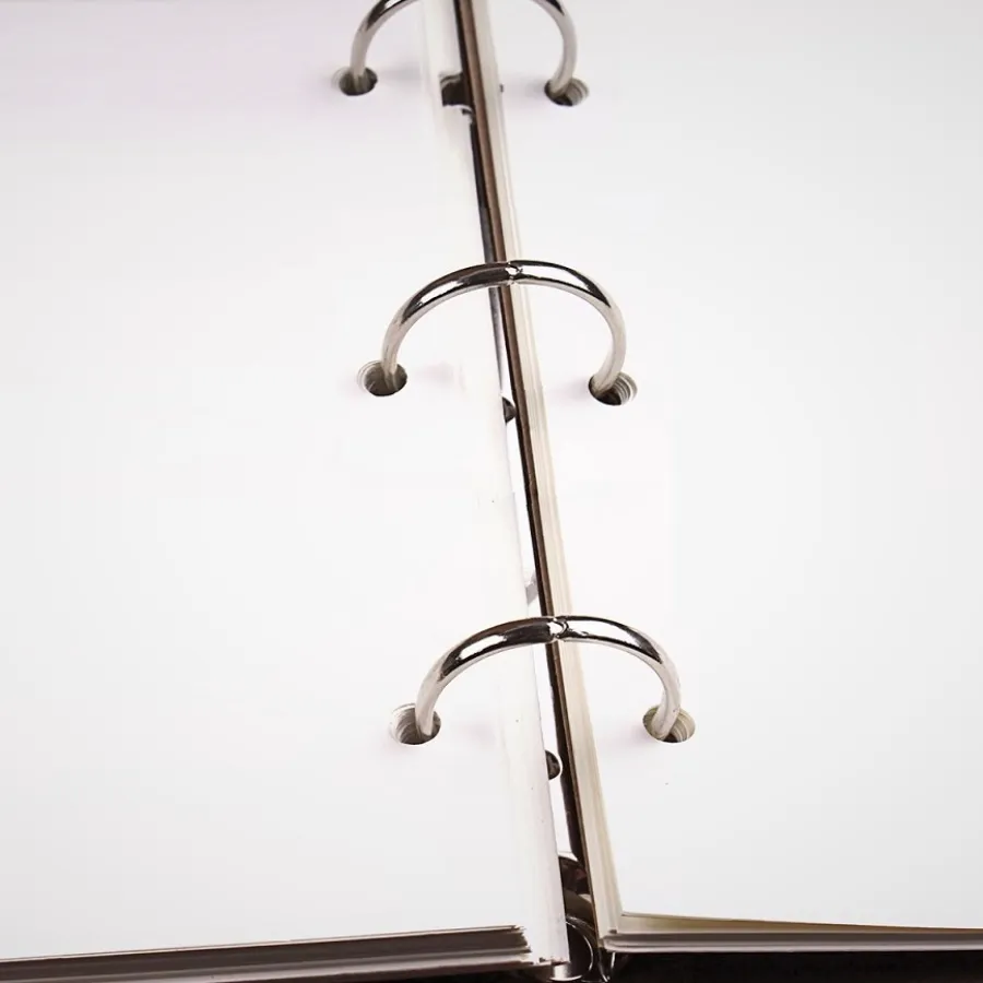 Pages inserted in a Ringed Binder