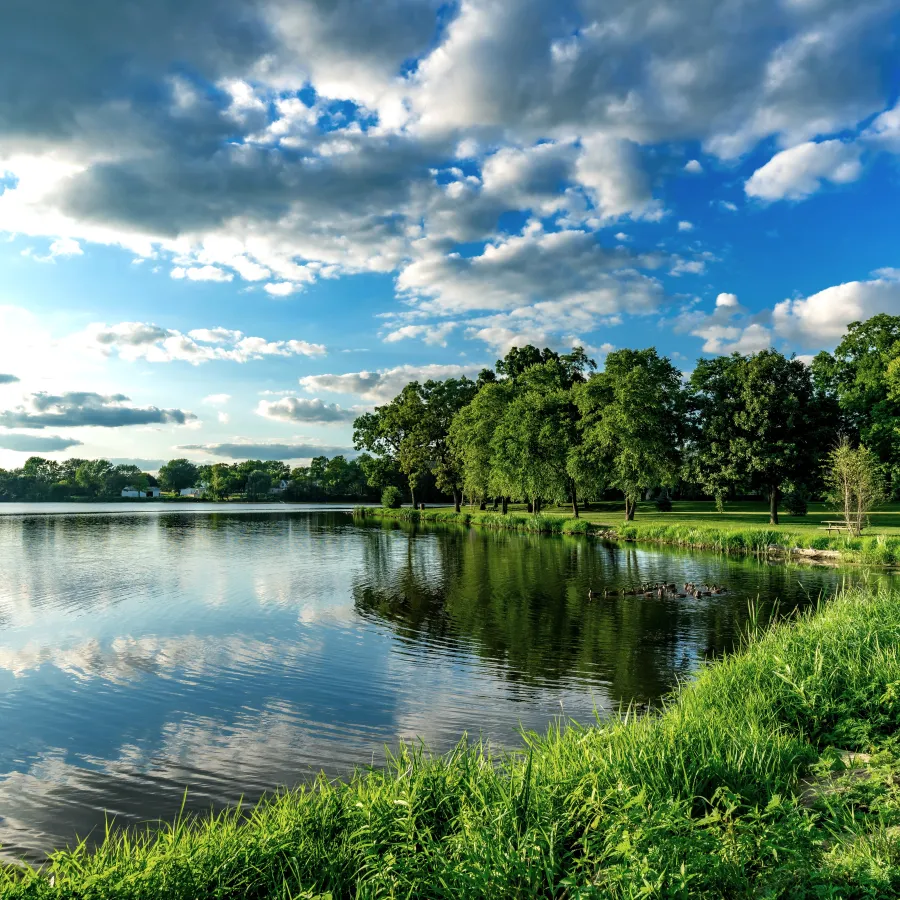 The shore of a Wisconsin Lake