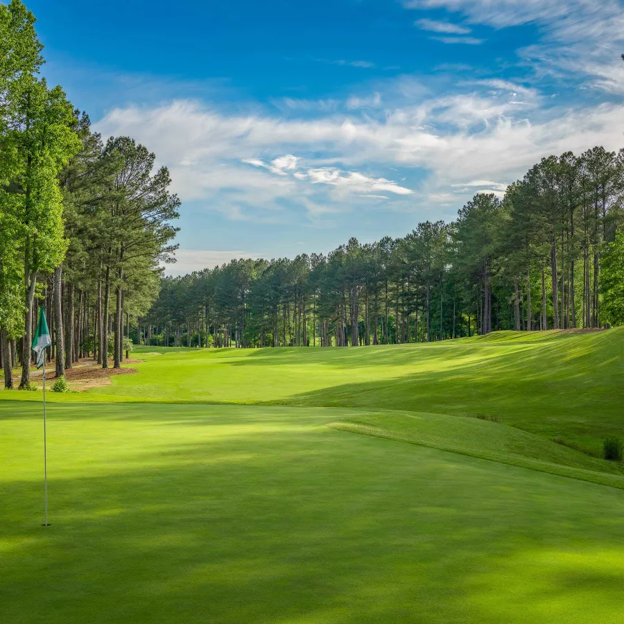 Sunny golf course fairway and green surrounded by tall pine trees under a partly cloudy blue sky