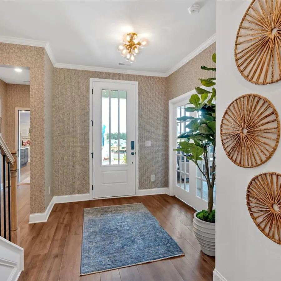 Bright entryway with wooden floor, blue rug, modern light fixture, woven wall decor, and potted plant near front door.