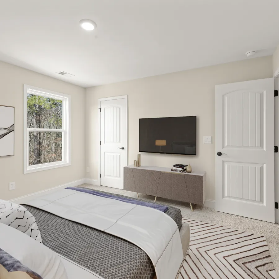 a bedroom with a tv and couches