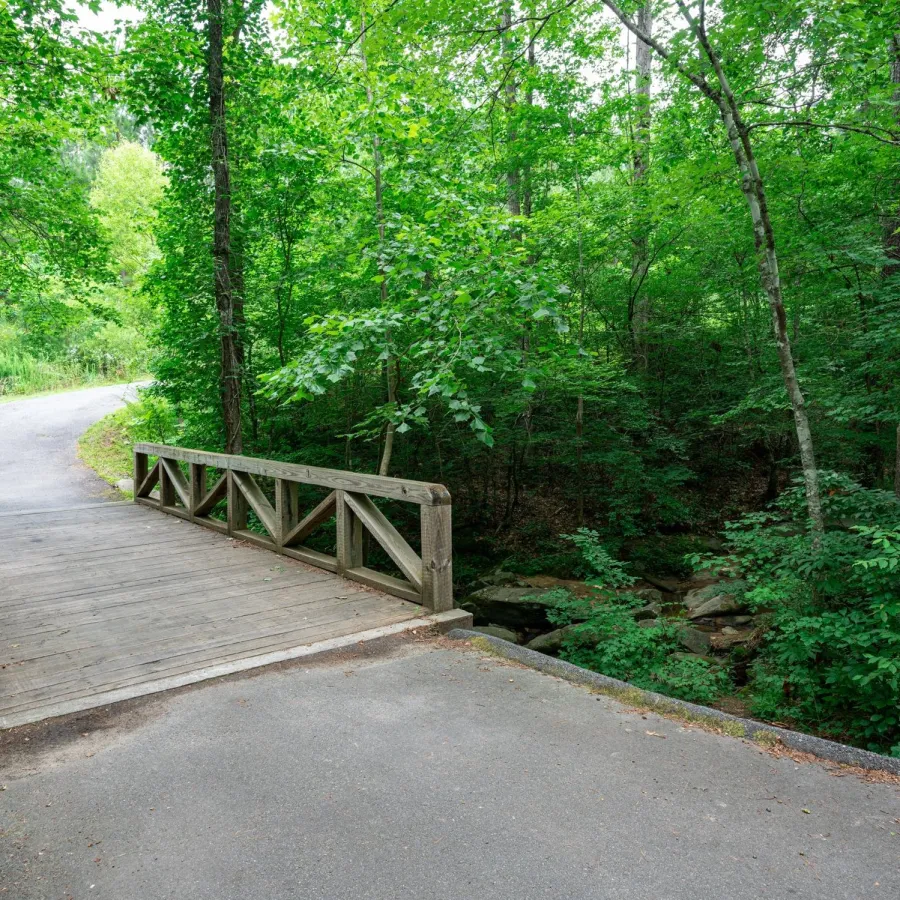 Nature trail at NatureWalk at Seven Hills in Dallas GA