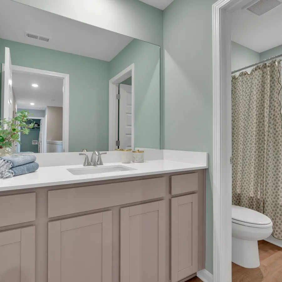Modern bathroom with light green walls, white vanity, and elegant shower curtain.