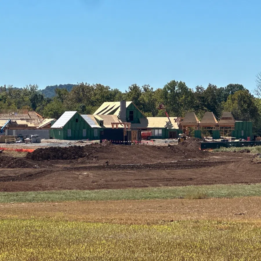 Construction site with multiple houses framed and sheathed, surrounded by trees and clear blue sky.