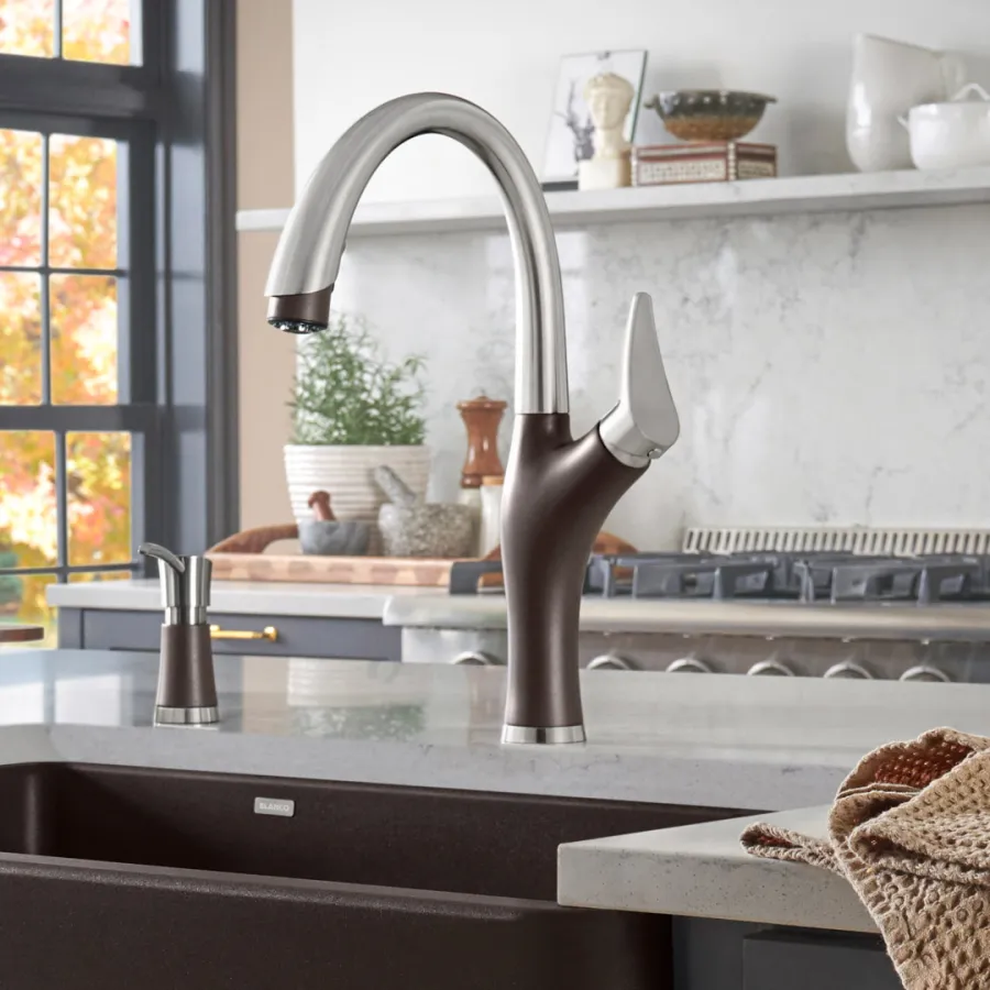 a kitchen sink with a faucet