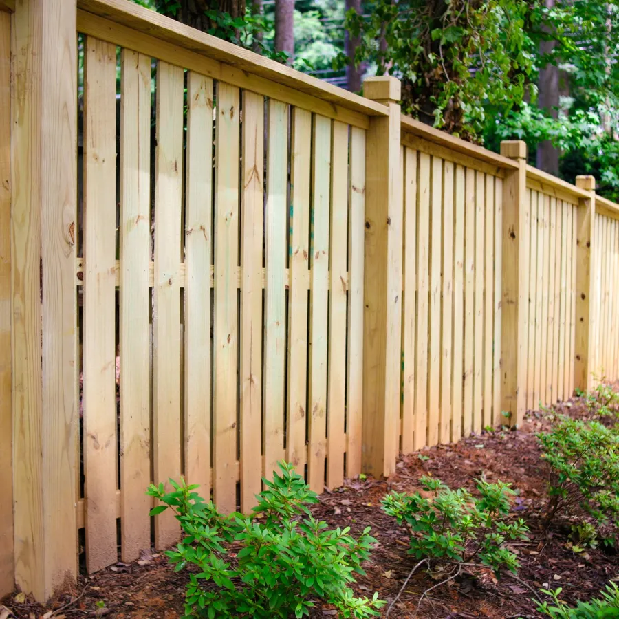 Long wooden fence alongside green shrubs and trees in a backyard garden setting.