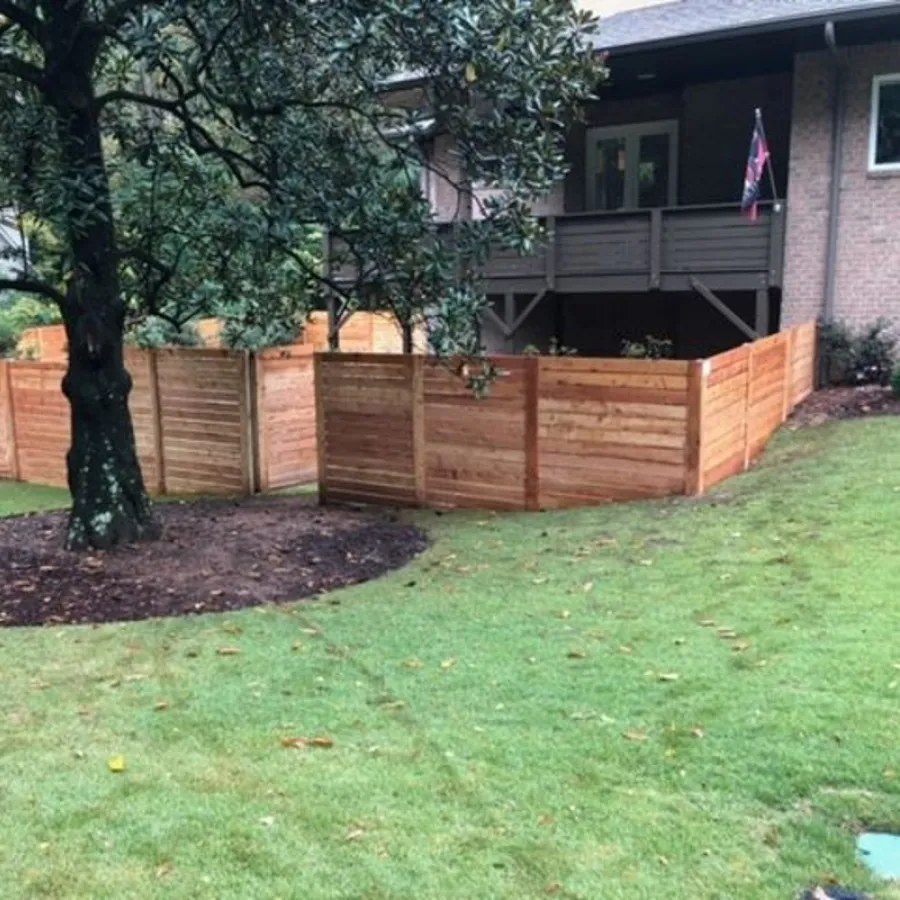 a backyard with a tree and a fence