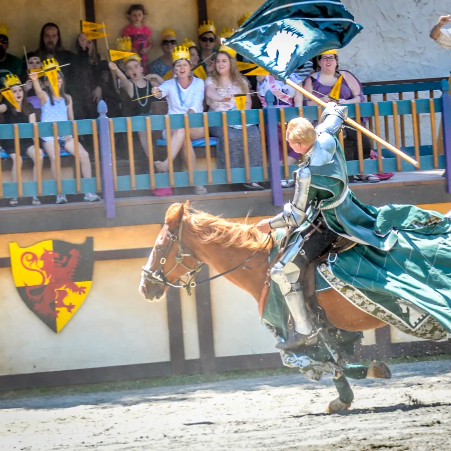 a person riding a horse