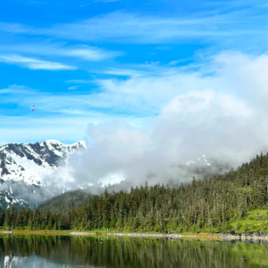 a lake with trees and mountains in the background