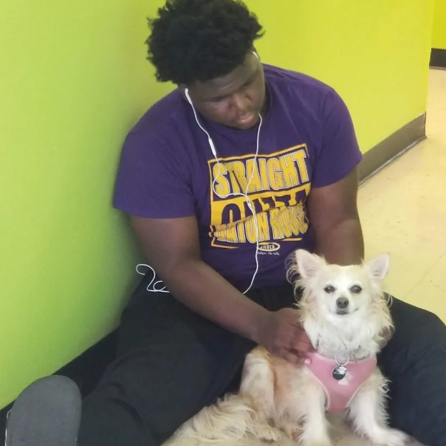 a person kneeling down next to two dogs