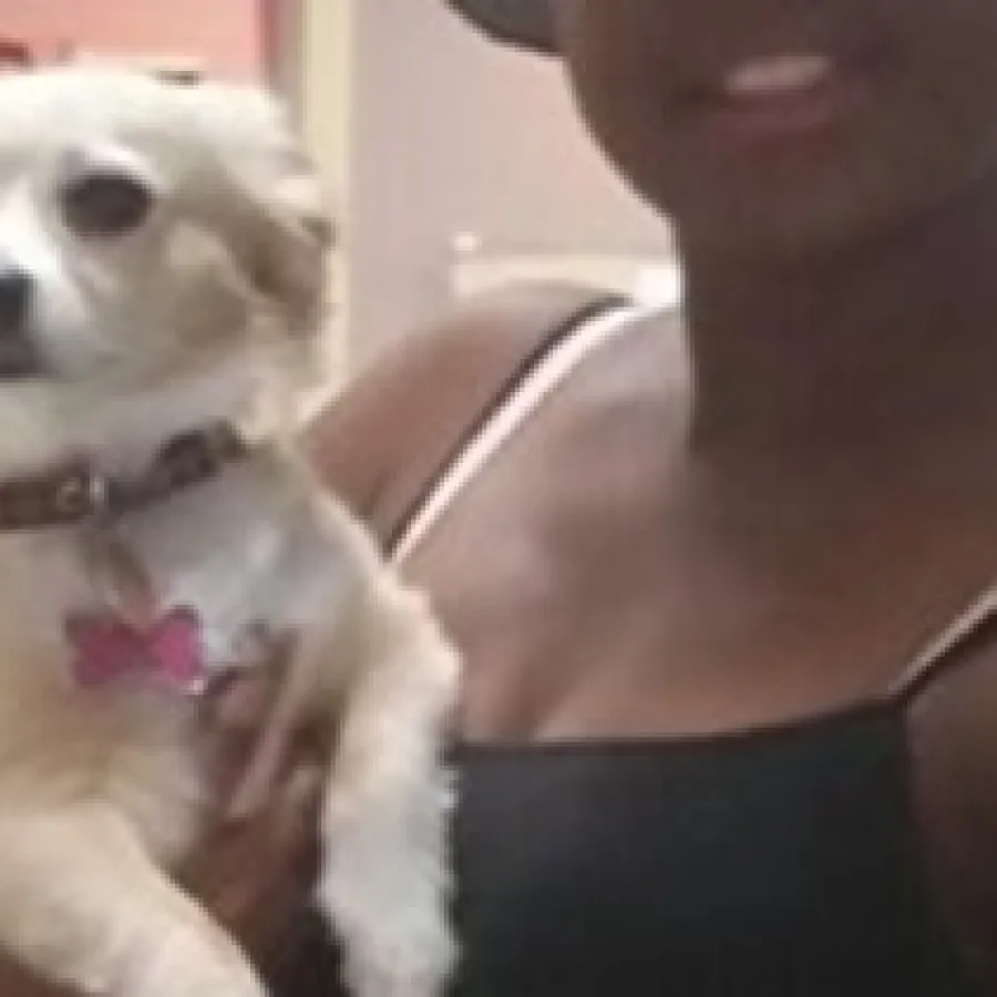 a person holding a dog