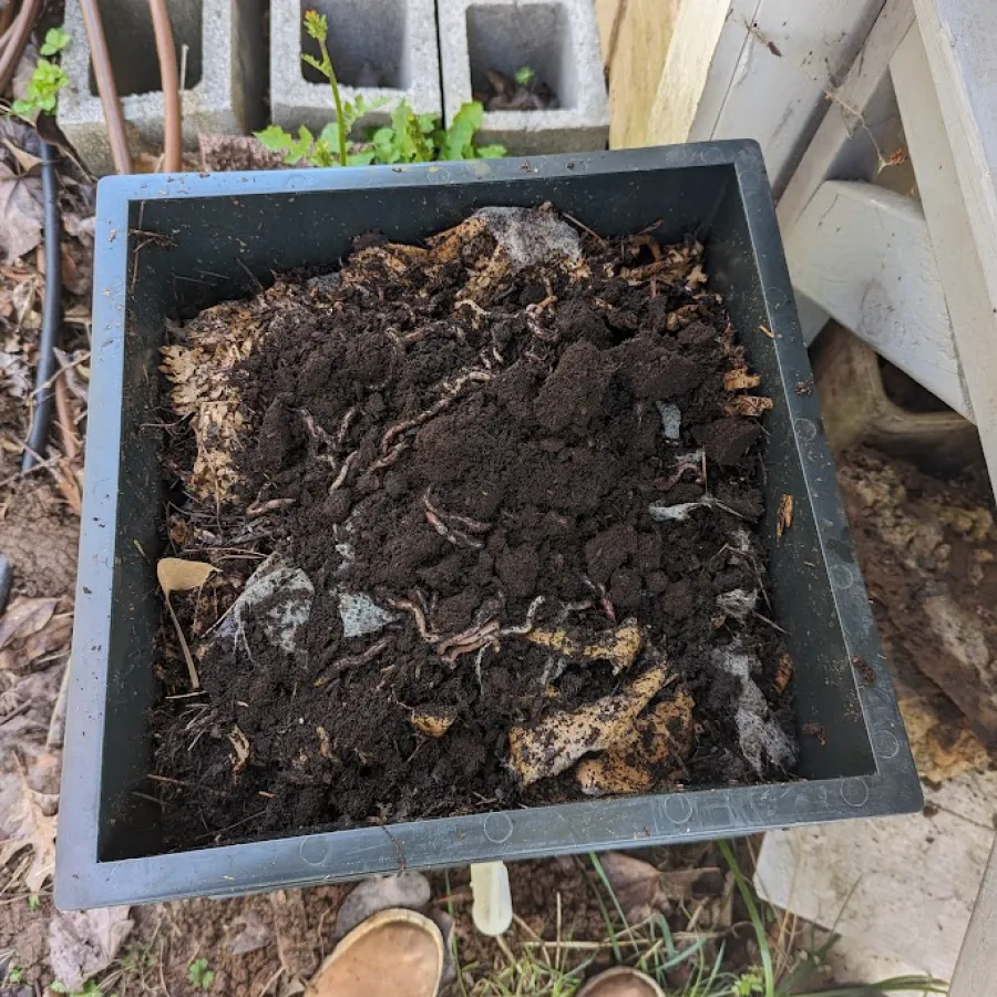 a pile of dirt and rocks
