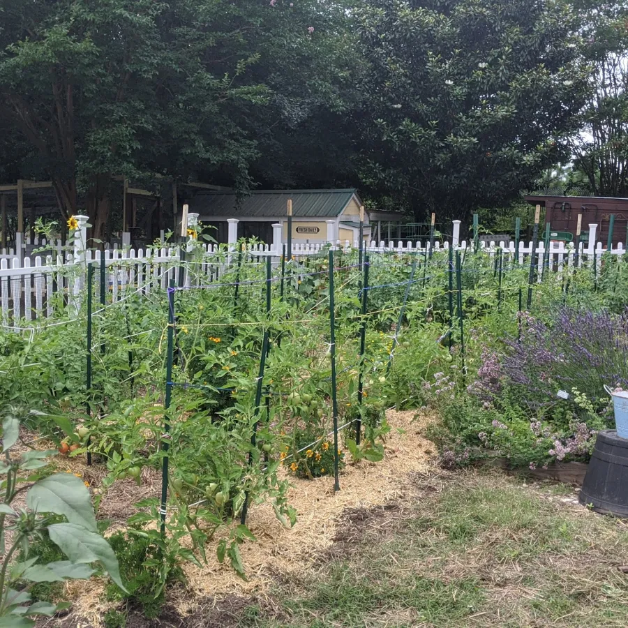 a garden with a white fence