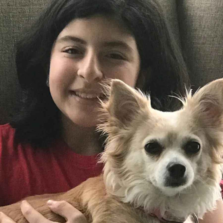a person holding a dog