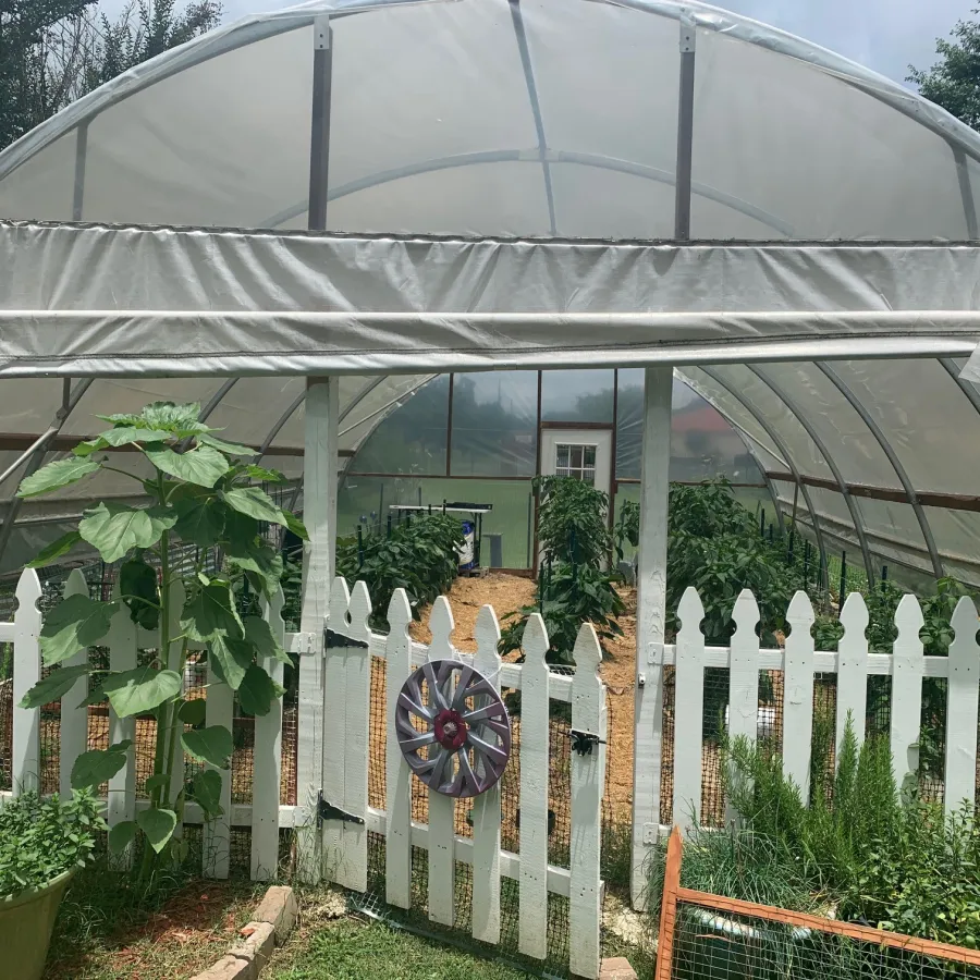 a greenhouse with plants and a fence