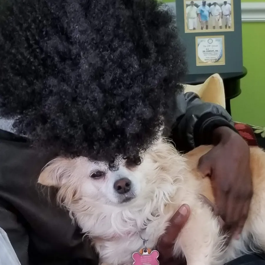 a person holding a dog