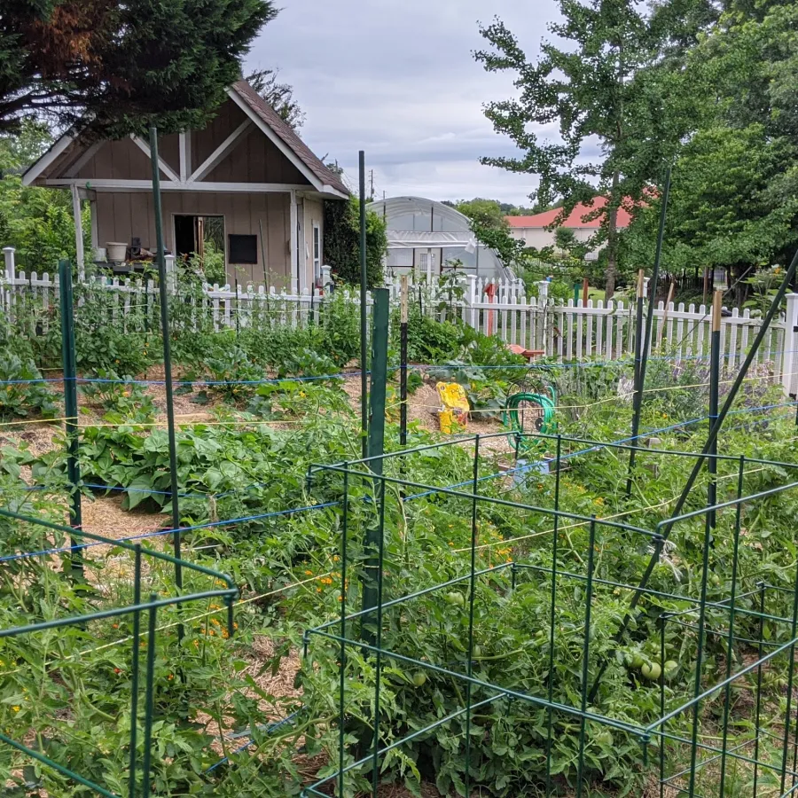 a fenced in yard with a house in the background