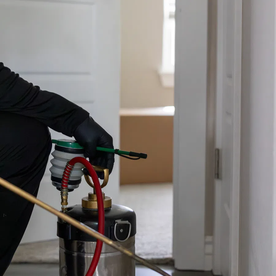 Pest control technician in black gloves holding sprayer wand with metal pesticide tank on floor indoors
