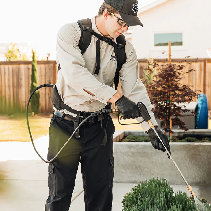 Pest control technician spraying insecticide on garden plants wearing uniform and protective gloves outdoors.