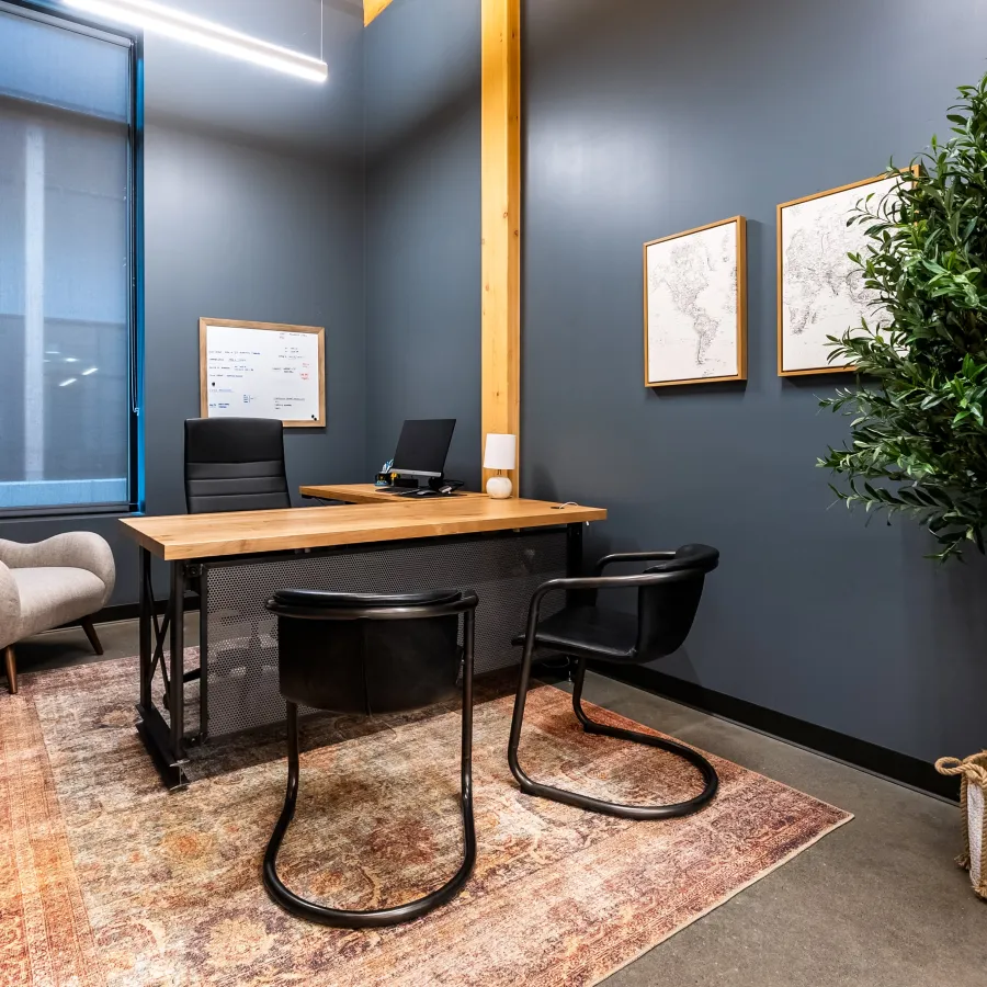 Modern office with wooden desk, black chairs, gray walls, framed maps, large potted plant, and a window with blinds.