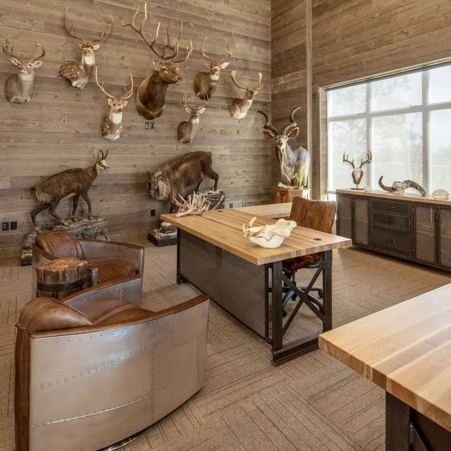 Rustic office interior with wooden walls, mounted animal trophies, and leather chairs around wooden desks.