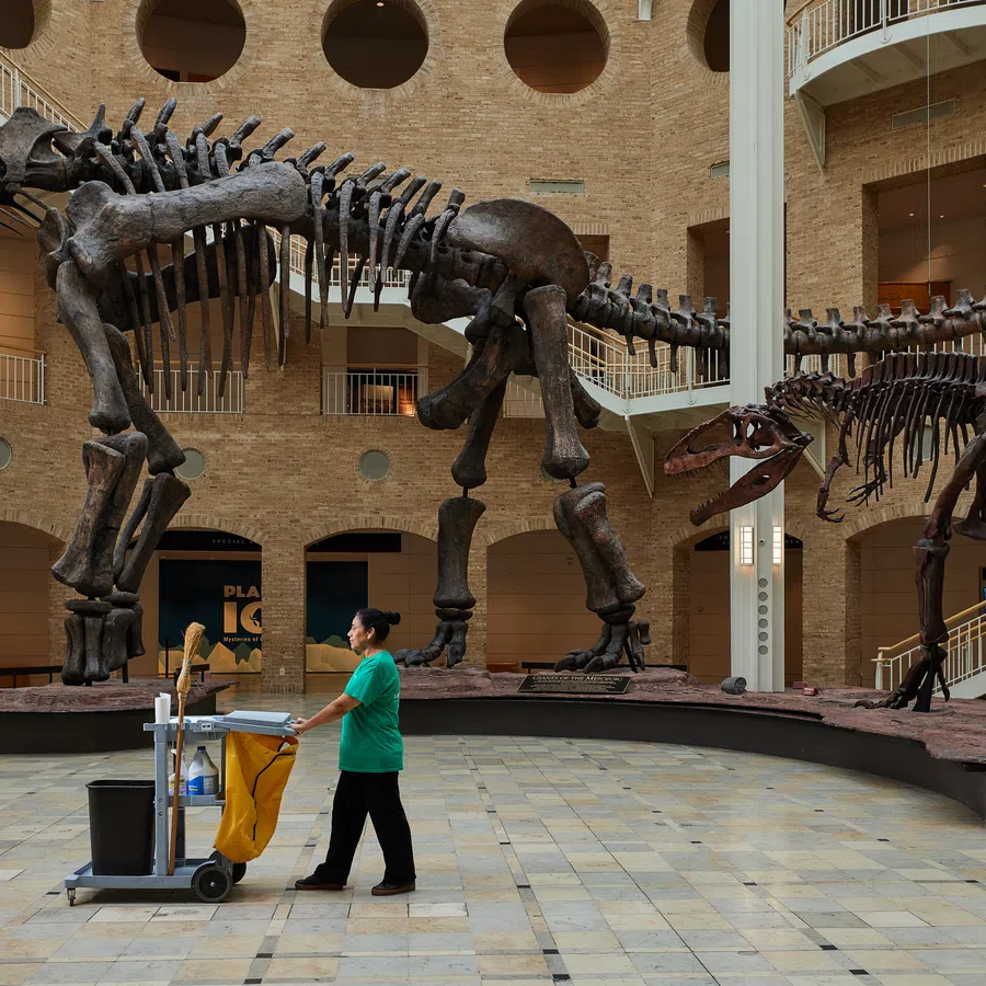 Museum hall with large dinosaur skeletons and a janitor pushing a cleaning cart on tiled floor under high ceilings.