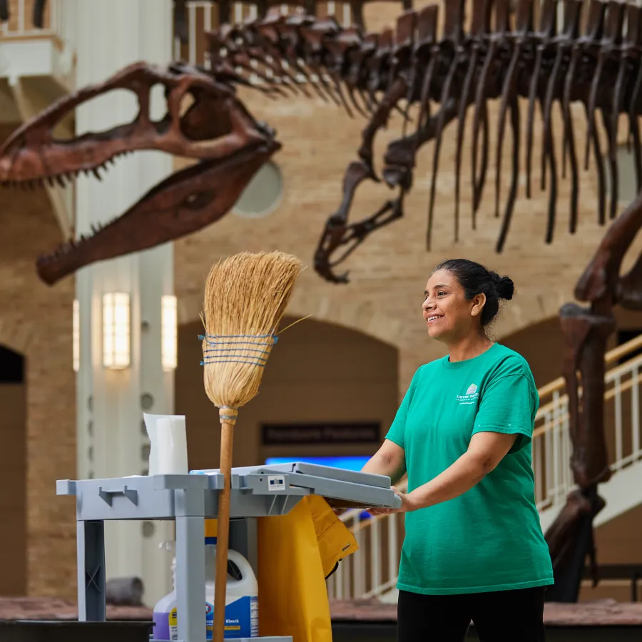 Museum cleaner in green shirt with broom and cart near dinosaur skeleton exhibits indoors