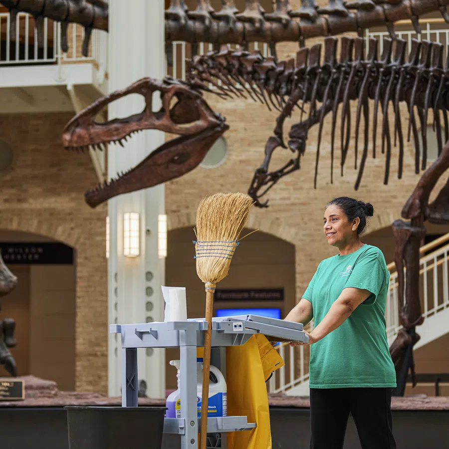 Museum janitor with cleaning cart standing near large dinosaur skeleton exhibit indoors