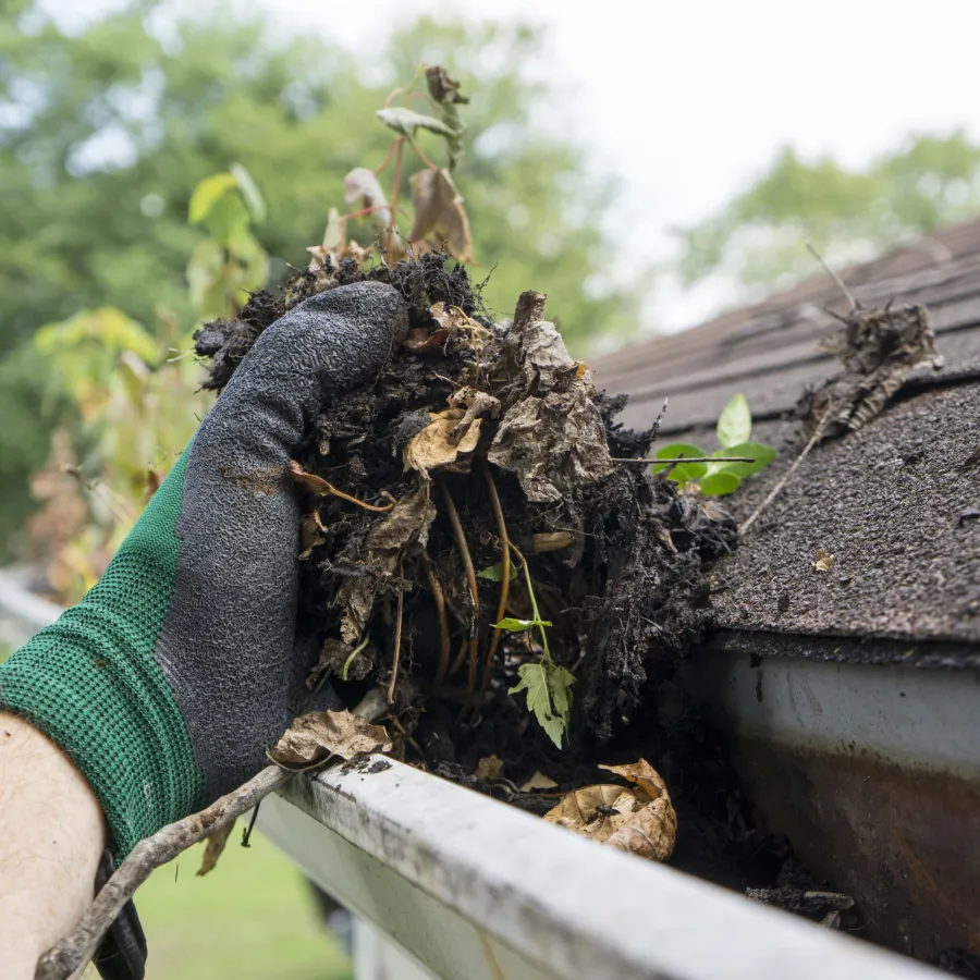 Men in Kilts Kamloops removing moss and debris from a roof and gutter in BC