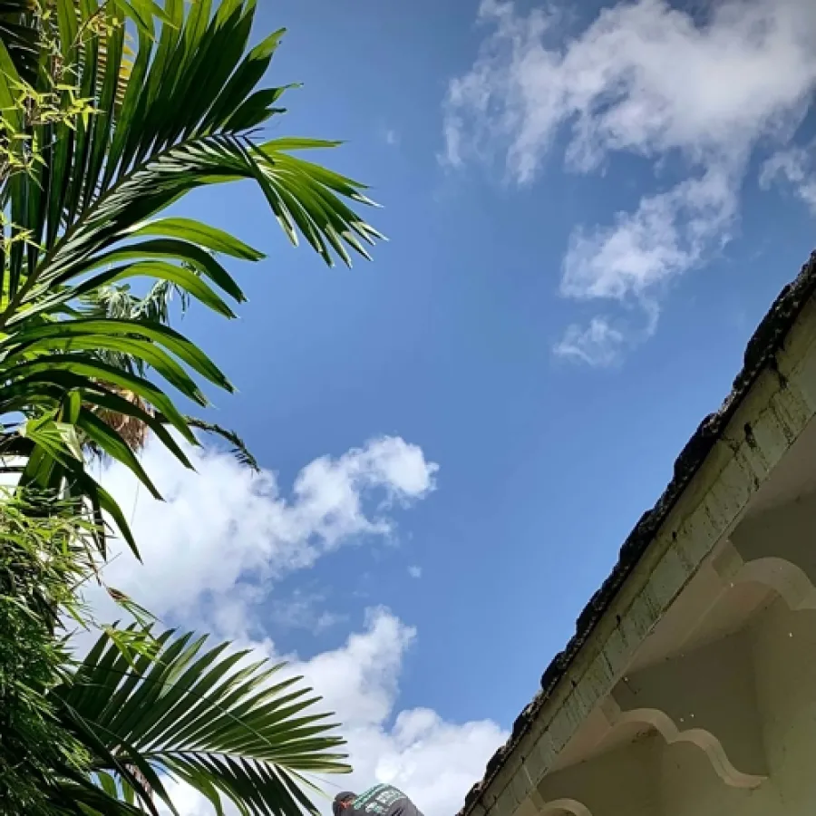 a building with palm trees