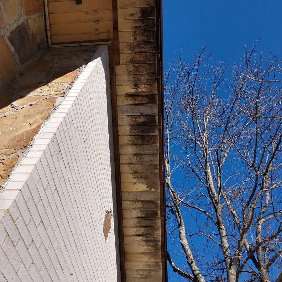 View looking up at a building corner with white brick and wooden eaves next to a leafless tree under a clear blue sky.