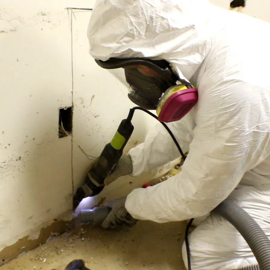 Professional in protective suit and respirator inspecting and treating mold damage on interior wall near floor.