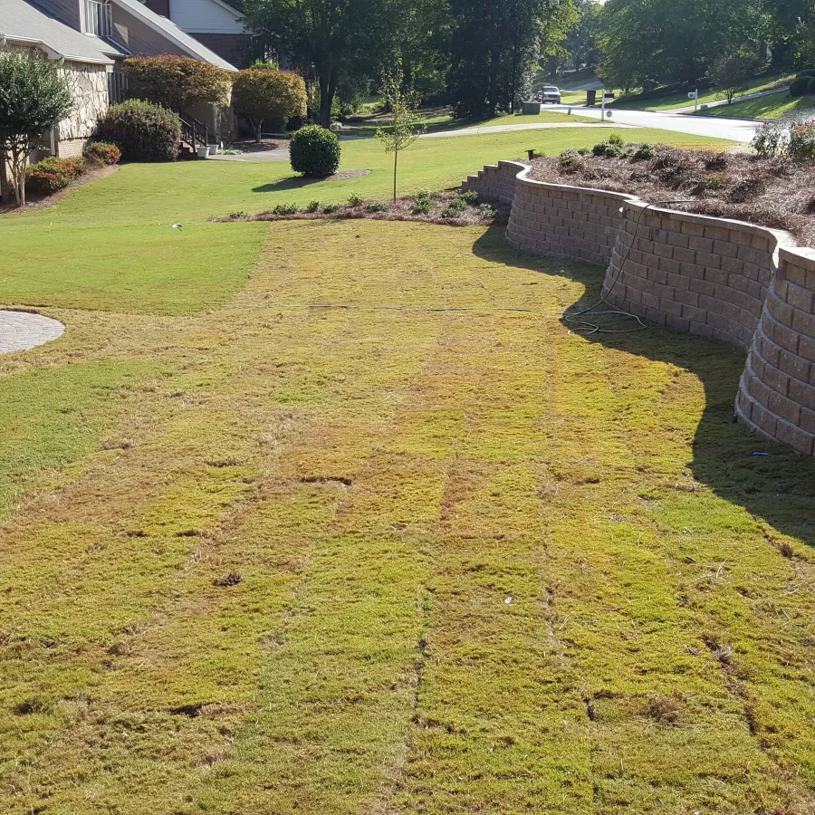 a yard with a brick wall and a brick wall