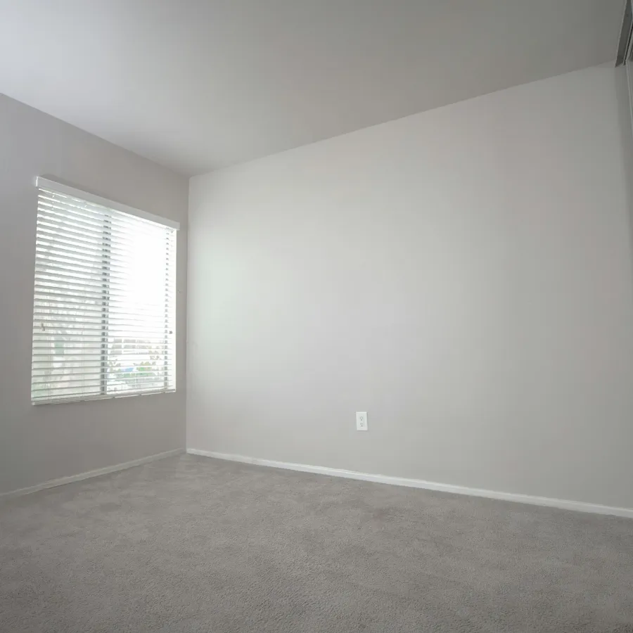 Empty room with light gray carpet, white walls, window with blinds, and mirrored closet door