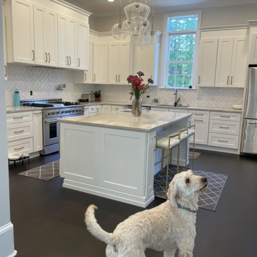 Modern white kitchen with marble island, glass pendant lights, stainless steel appliances, and a white dog on dark floor.