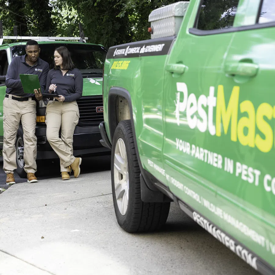 Two PestMaster workers in uniform review a tablet near green branded pest control vehicles on a driveway.