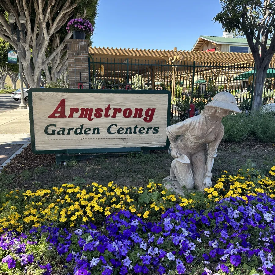 Armstrong Garden Centers sign next to a gardener statue surrounded by vibrant purple and yellow flowers.