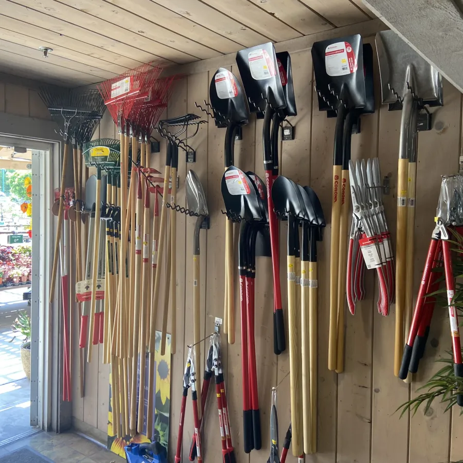 Garden tools including shovels, rakes, hoes, and pruners neatly displayed on wooden wall in bright garden store.