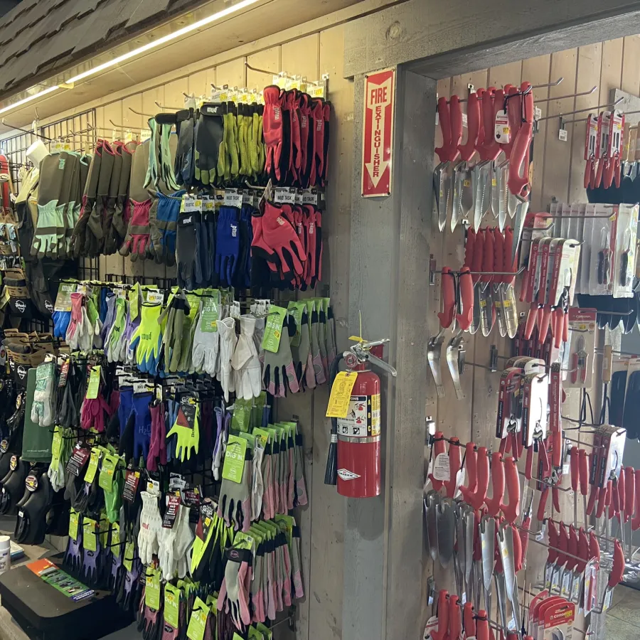 Wall display of colorful gardening gloves and red-handled garden tools in a hardware store