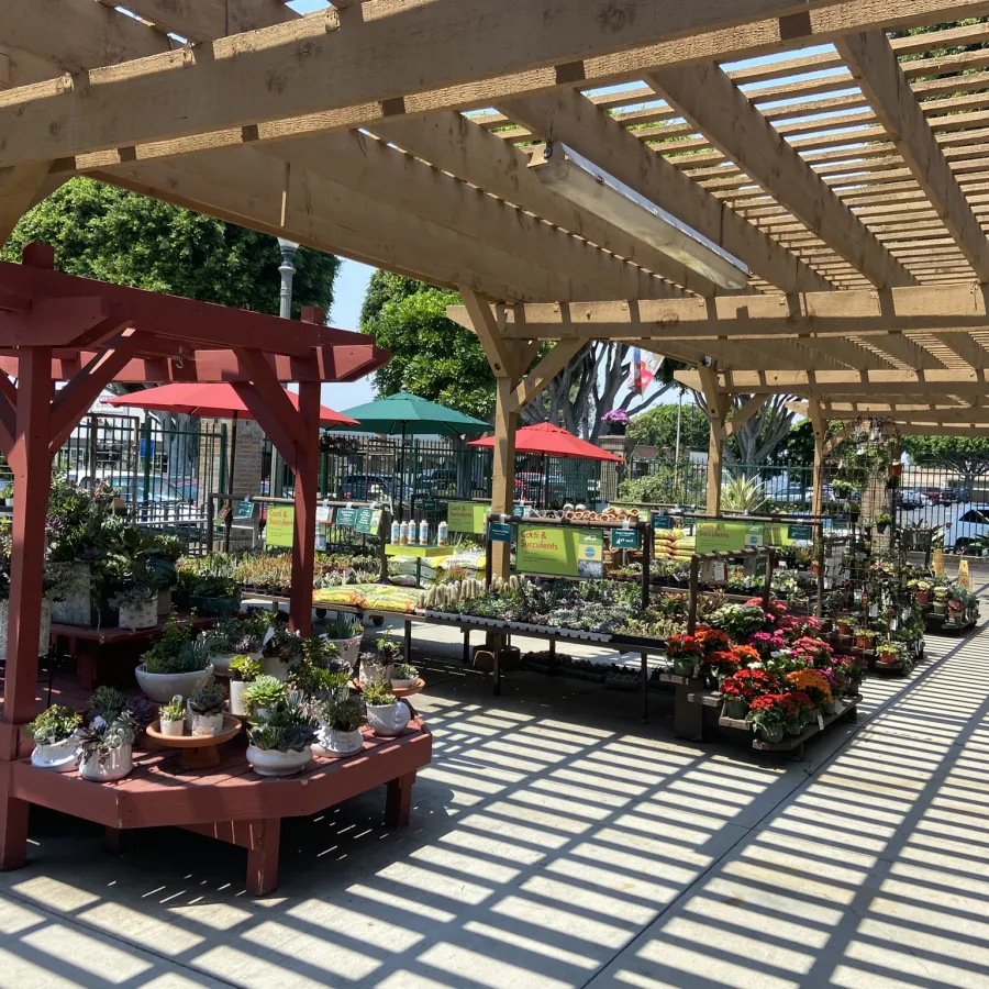 Outdoor garden center with wooden pergola casting striped shadows over tables of potted plants and flowers.
