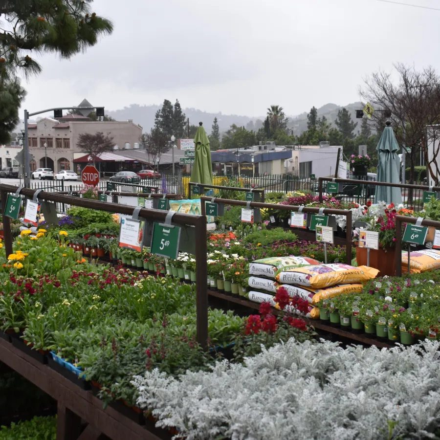 Outdoor garden center with various colorful flowers, plants, and gardening supplies on display under cloudy skies.