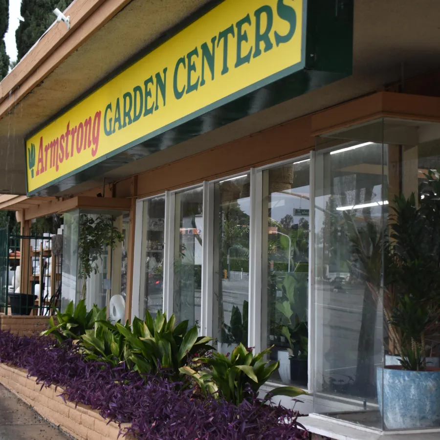 Armstrong Garden Centers storefront with green and purple plants in brick planter under yellow sign