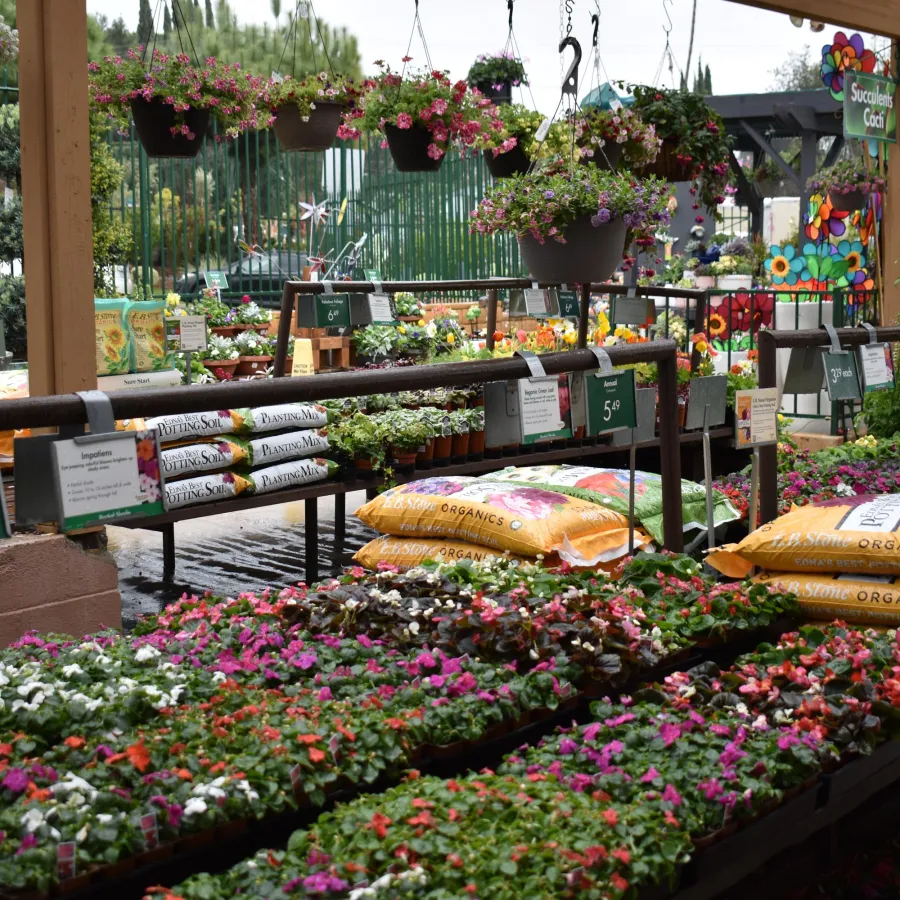 Outdoor garden center with colorful flowers, hanging plants, and bags of organic soil for sale under wooden canopy.