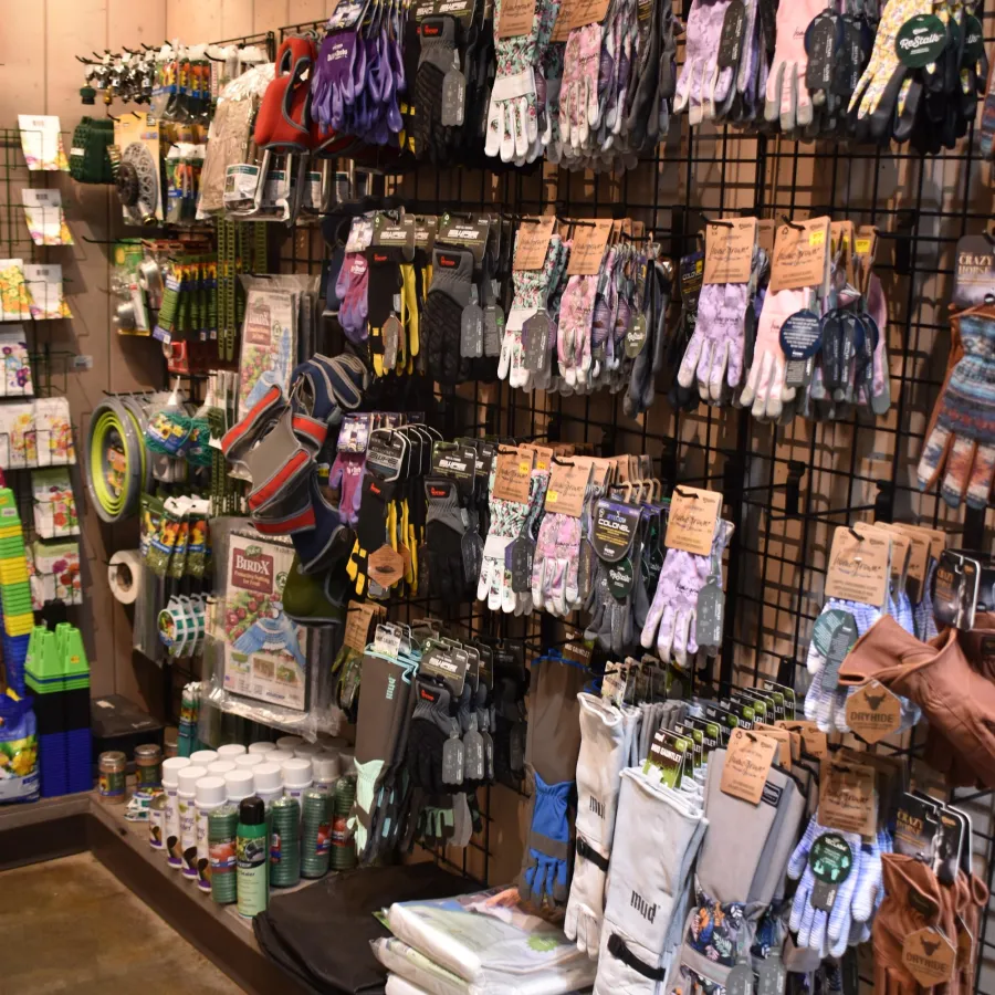Display of various gardening gloves, outdoor gear, and gardening supplies on shelves and racks in a store.