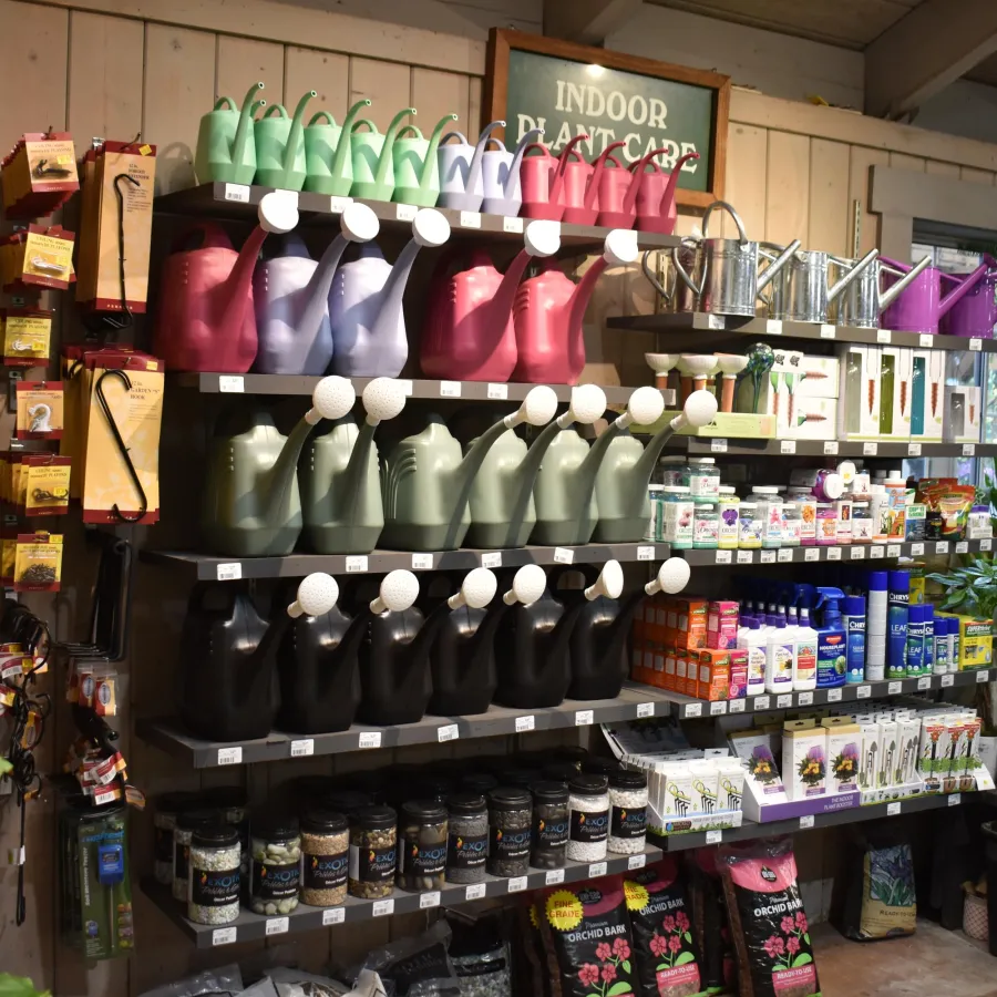 Colorful watering cans and plant care products displayed on shelves in a gardening store section for indoor plants.