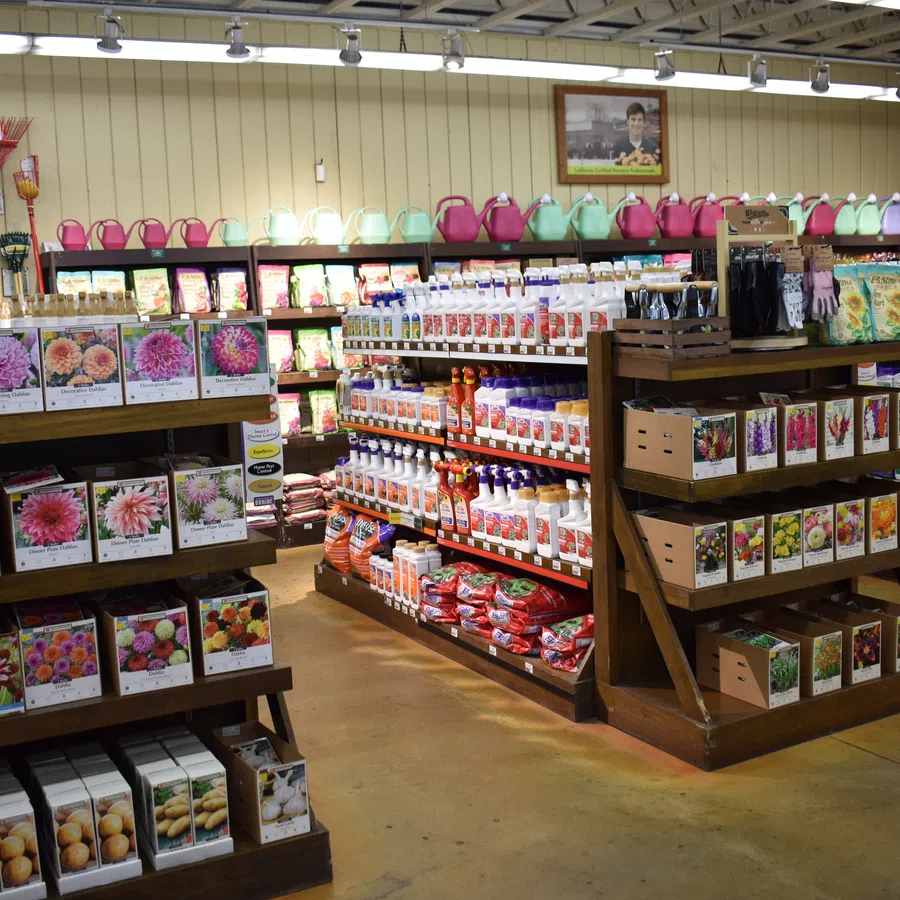Indoor gardening store aisle with flower seed packets, plant care products, and colorful watering cans on shelves