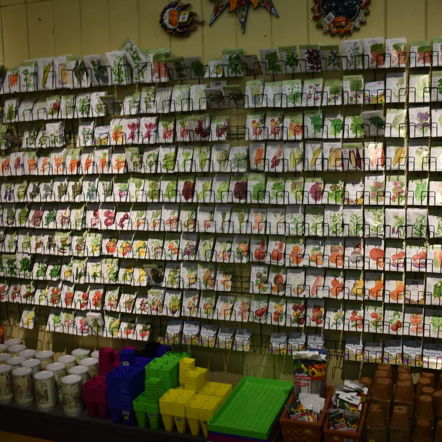 Wall display of various colorful seed packets organized in rows above gardening supplies and pots.